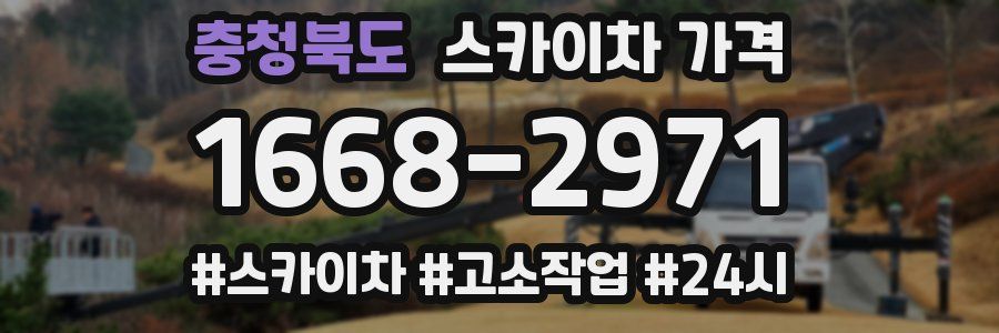 충청북도 스카이차 가격