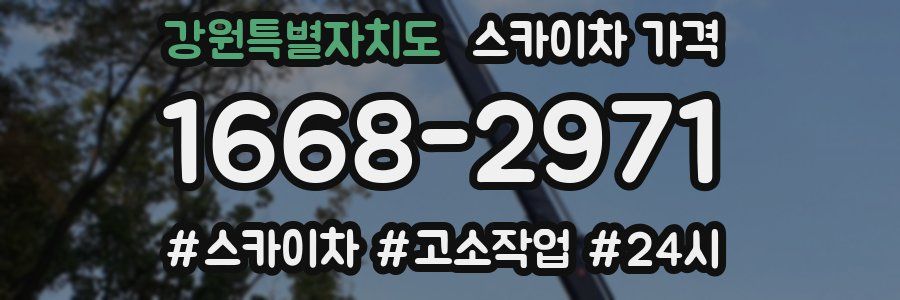 강원특별자치도 스카이차 가격