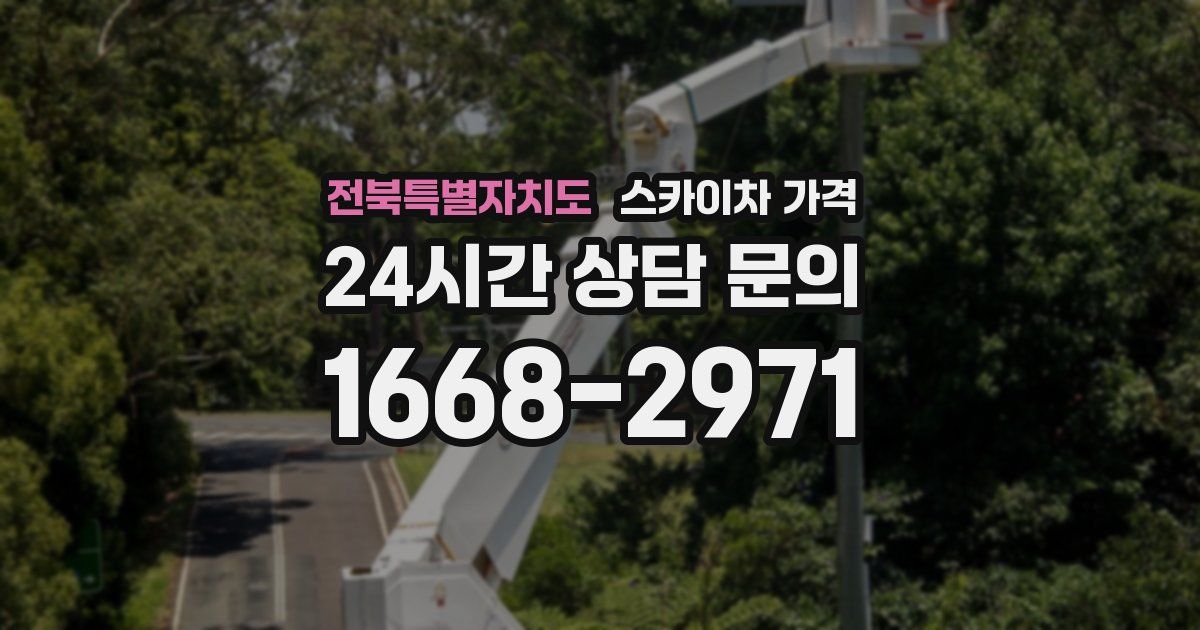 전북특별자치도 스카이차 가격