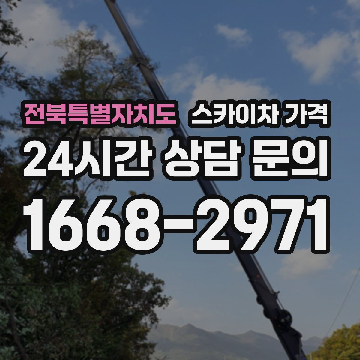 전북특별자치도 스카이차 가격