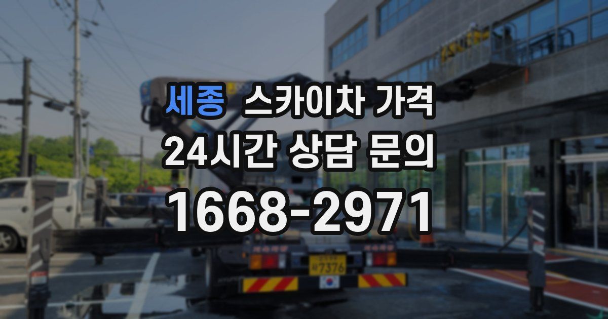 세종 스카이차 가격