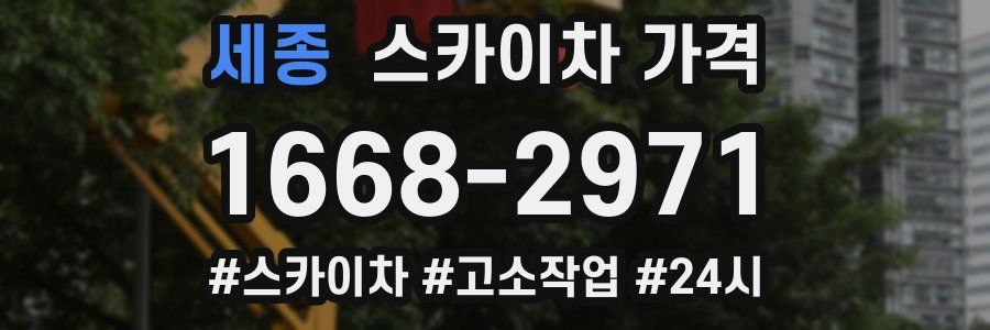 세종 스카이차 가격