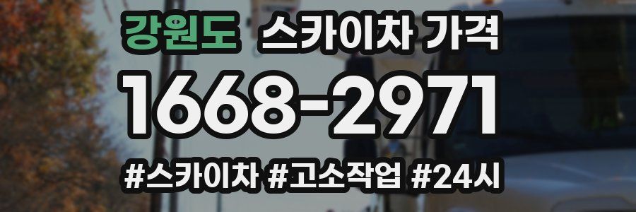 강원도 스카이차 가격