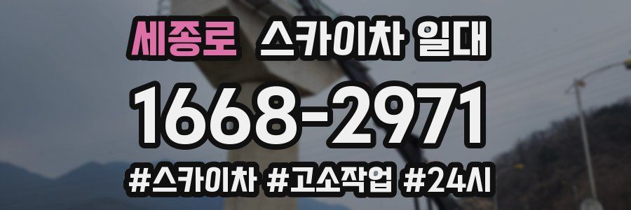 세종로 스카이차 일대