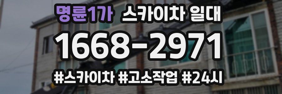 명륜1가 스카이차 일대