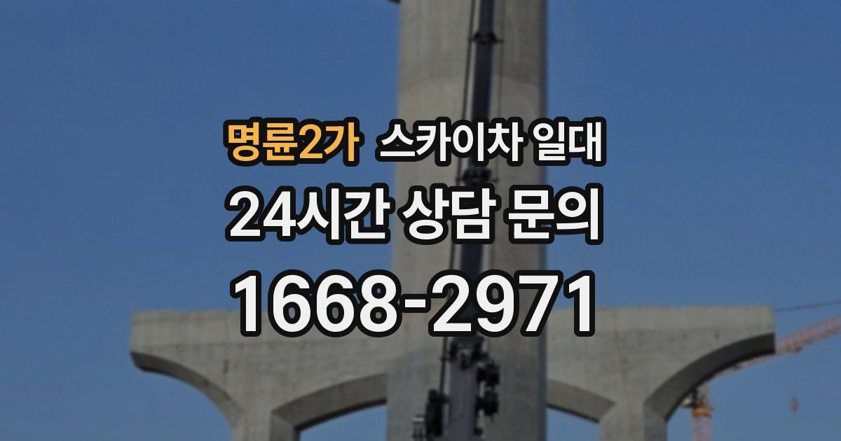 명륜2가 스카이차 일대