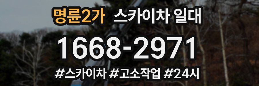 명륜2가 스카이차 일대