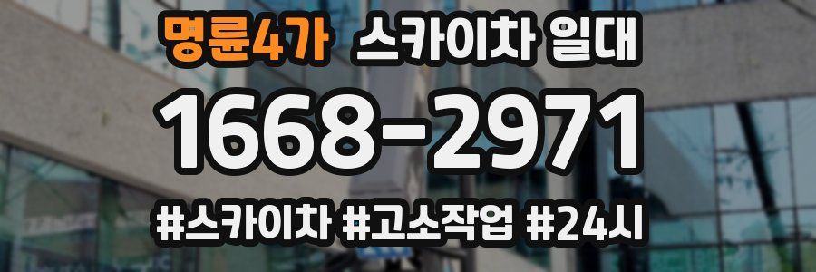 명륜4가 스카이차 일대