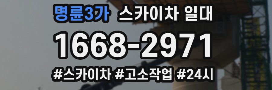 명륜3가 스카이차 일대