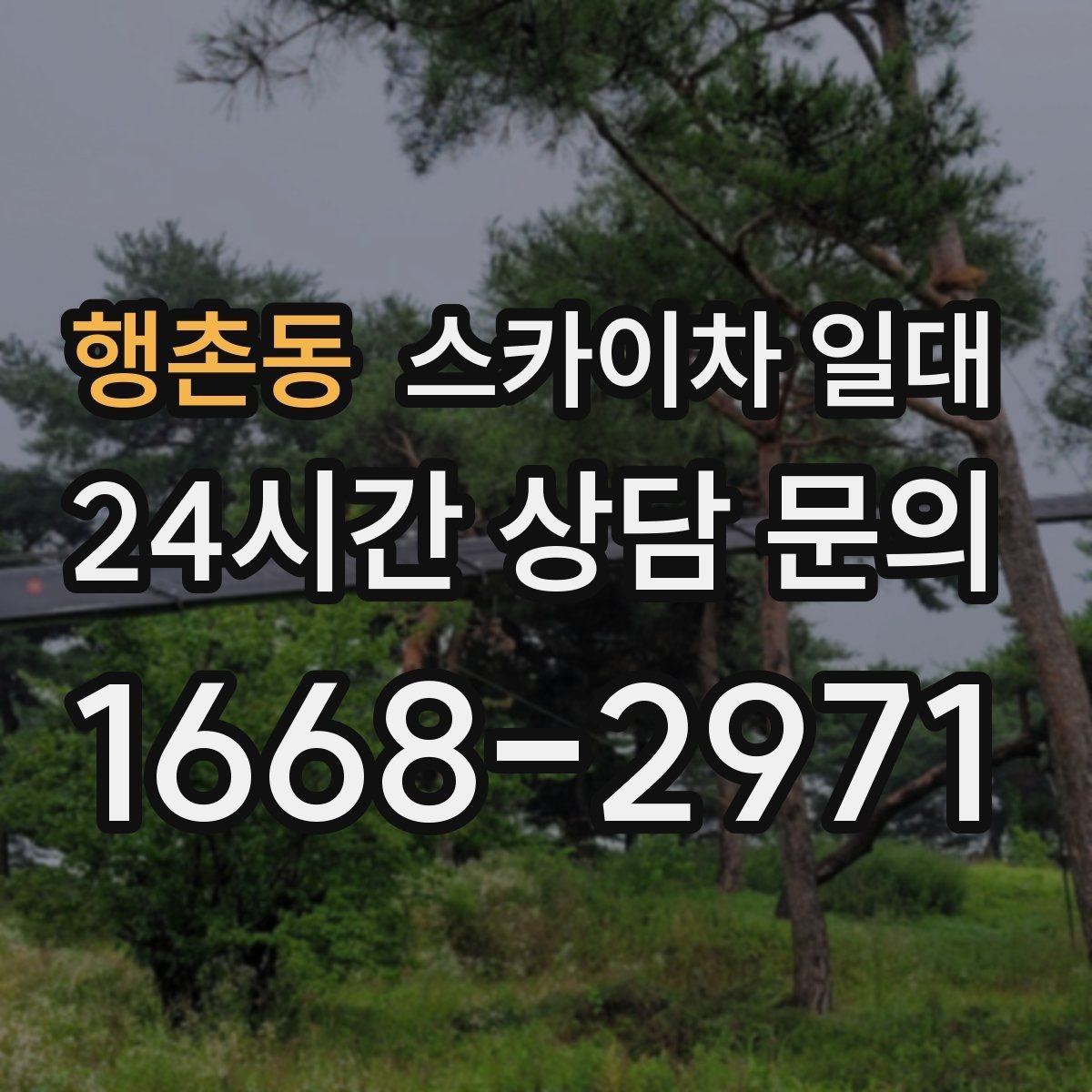 행촌동 스카이차 일대 이용 시 자주 묻는 질문 정리