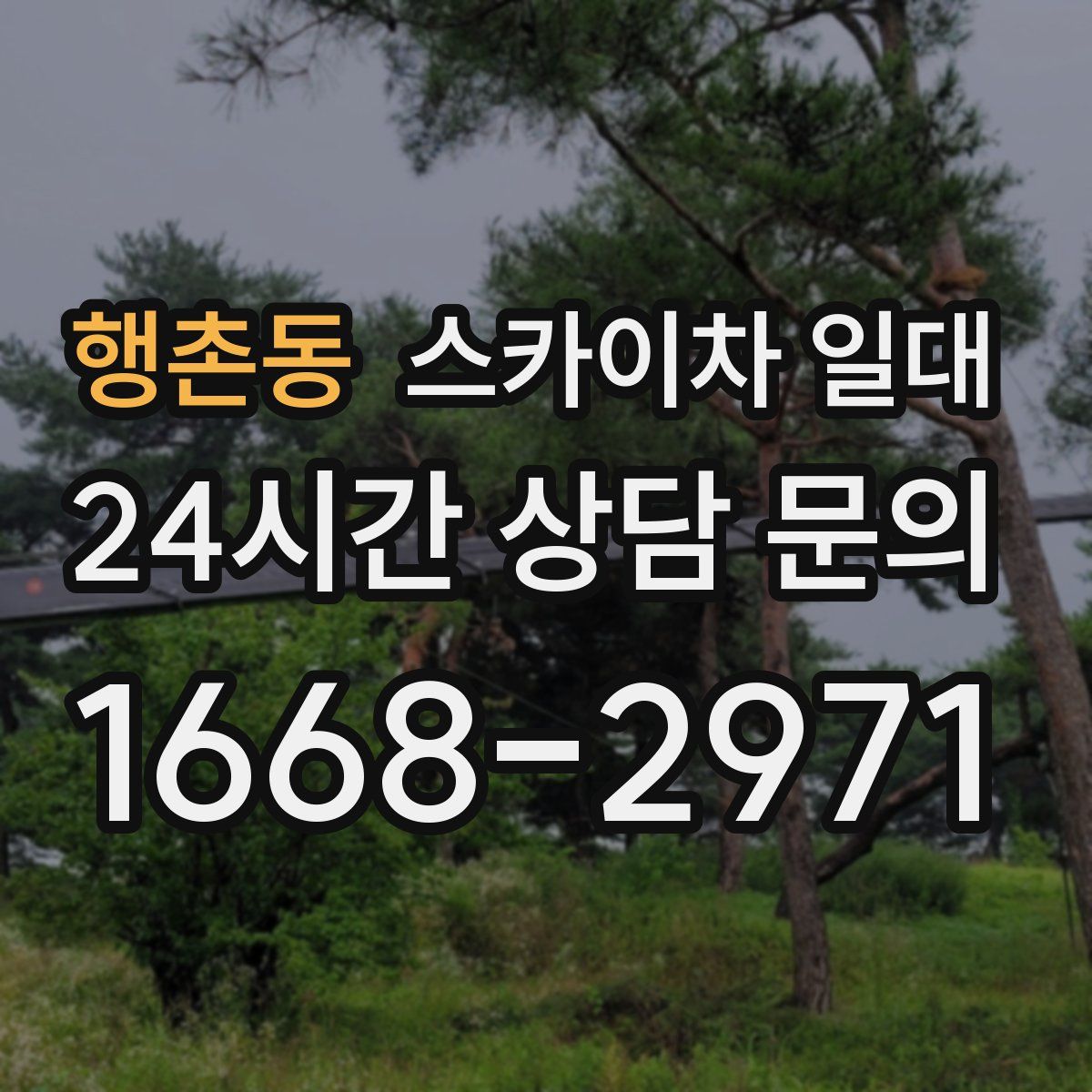 행촌동 스카이차 일대