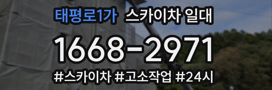 태평로1가 스카이차 일대