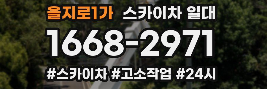 을지로1가 스카이차 일대
