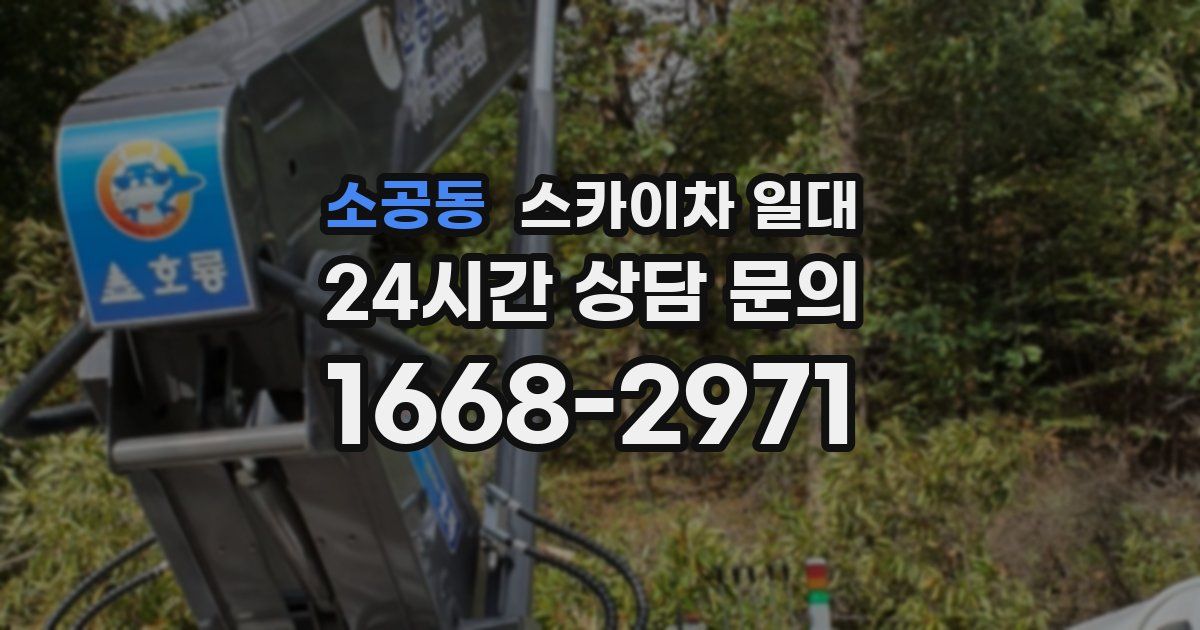 소공동 스카이차 일대