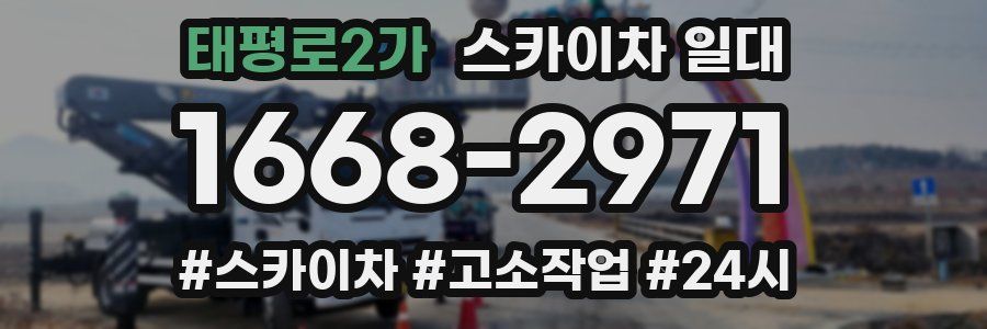 태평로2가 스카이차 일대