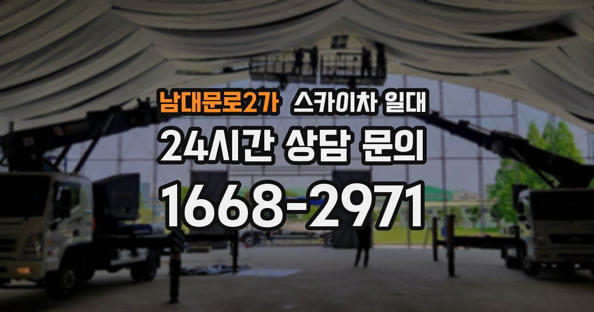 남대문로2가 스카이차 일대