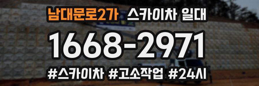 남대문로2가 스카이차 일대