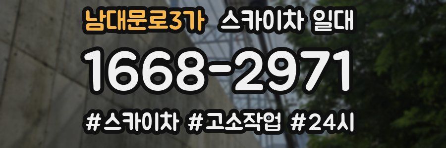 남대문로3가 스카이차 일대
