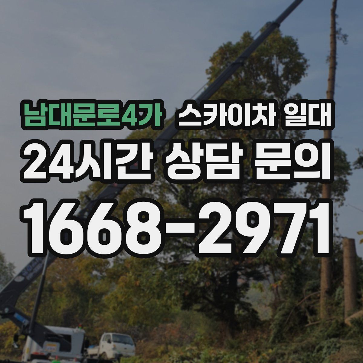 남대문로4가 스카이차 일대