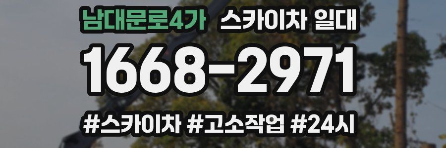 남대문로4가 스카이차 일대