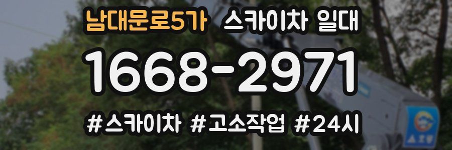 남대문로5가 스카이차 일대