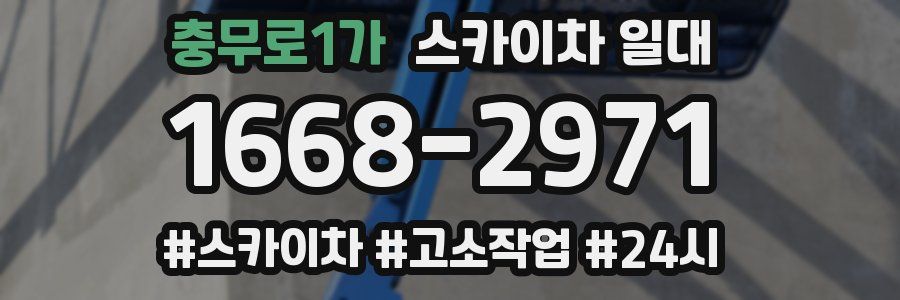 충무로1가 스카이차 일대