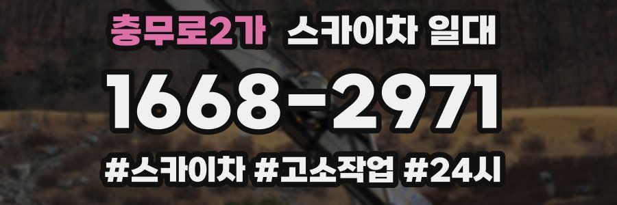 충무로2가 스카이차 일대