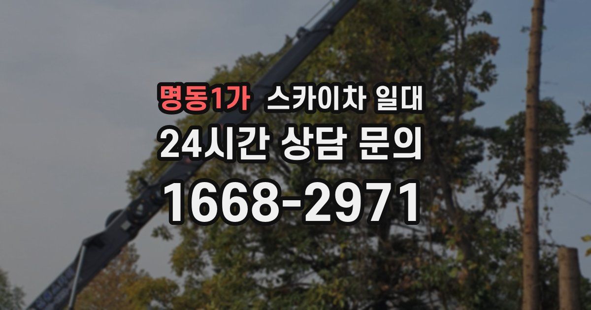 명동1가 스카이차 일대