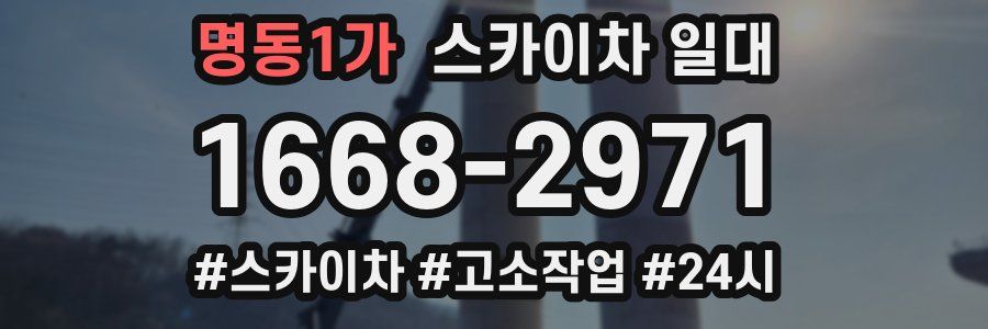 명동1가 스카이차 일대