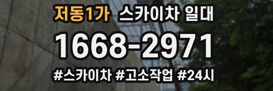 저동1가 스카이차 일대