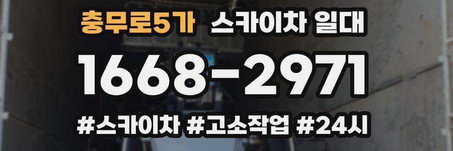 충무로5가 스카이차 일대