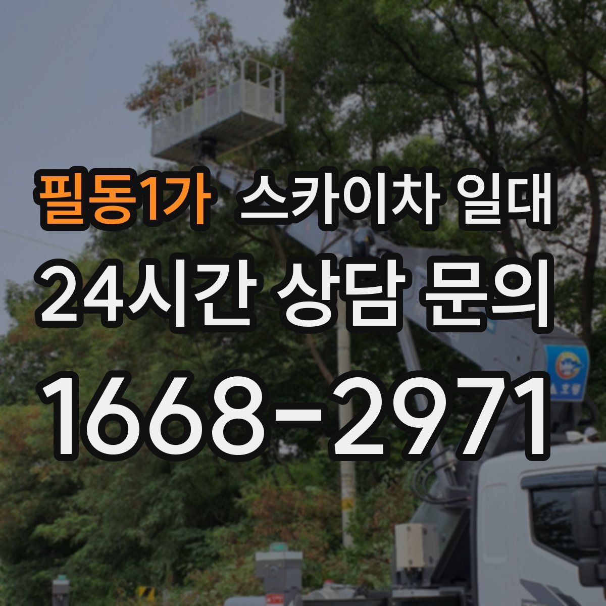 필동1가 스카이차 일대