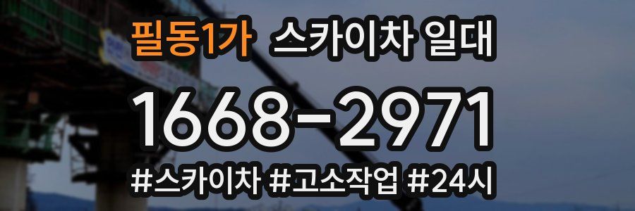 필동1가 스카이차 일대