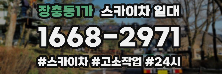 장충동1가 스카이차 일대