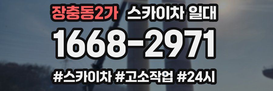 장충동2가 스카이차 일대