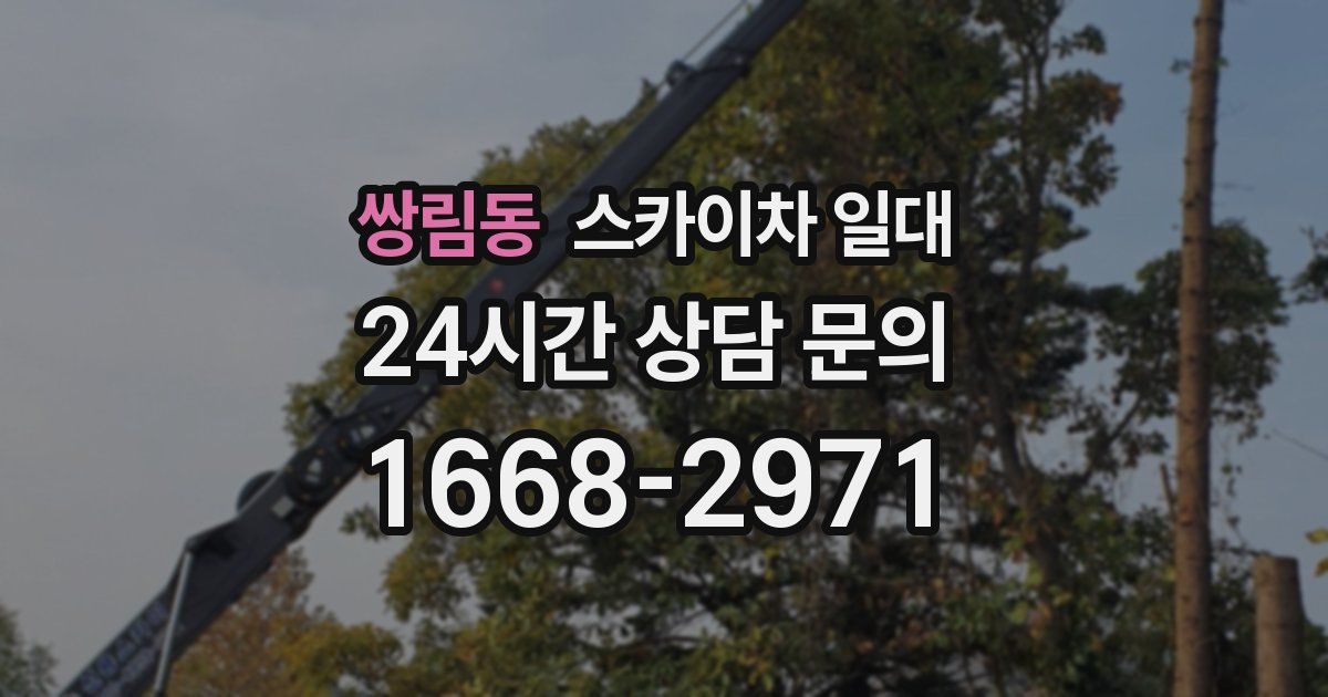 쌍림동 스카이차 일대