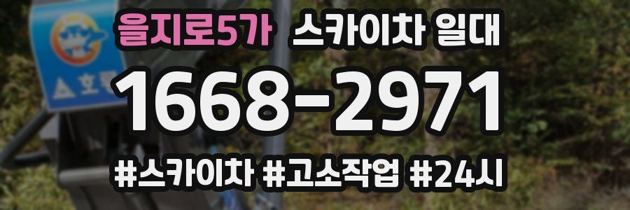 을지로5가 스카이차 일대
