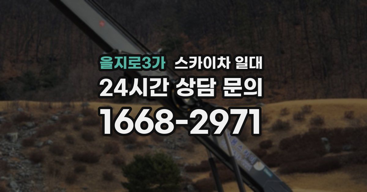 을지로3가 스카이차 일대