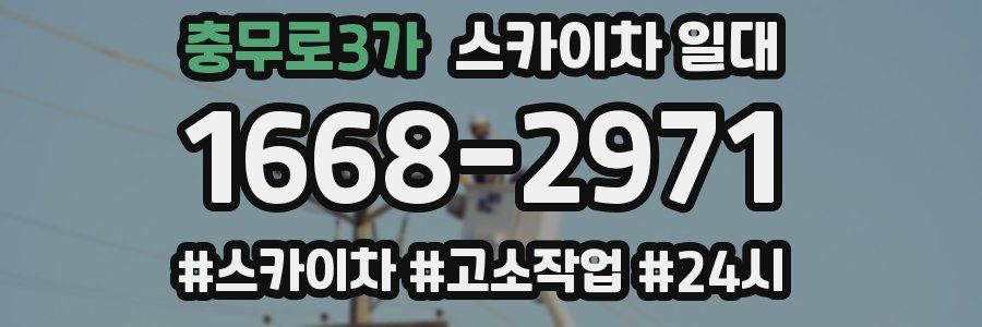 충무로3가 스카이차 일대