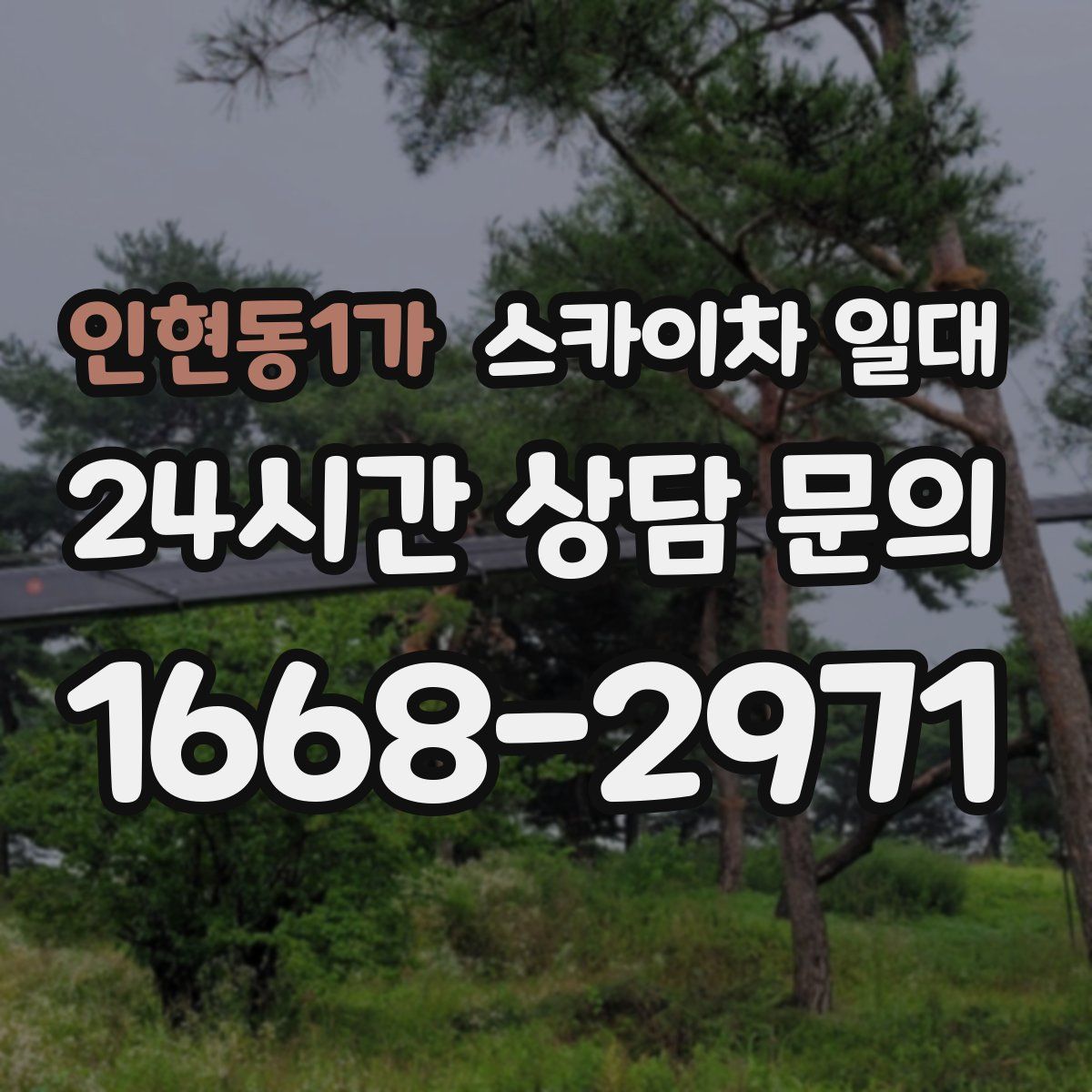 인현동1가 스카이차 일대