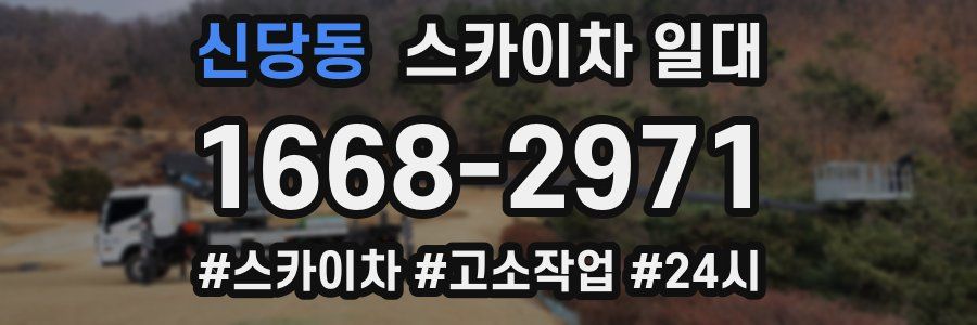 신당동 스카이차 일대