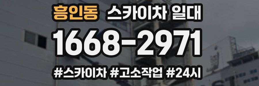 흥인동 스카이차 일대