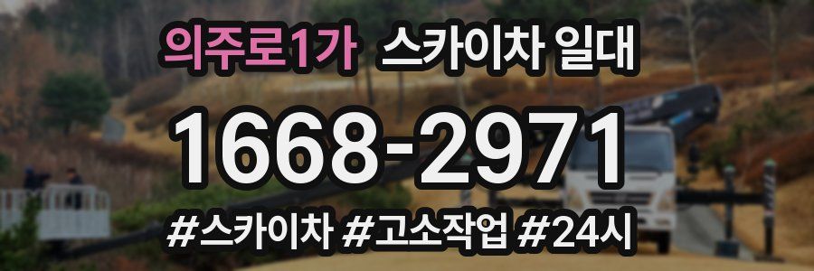 의주로1가 스카이차 일대