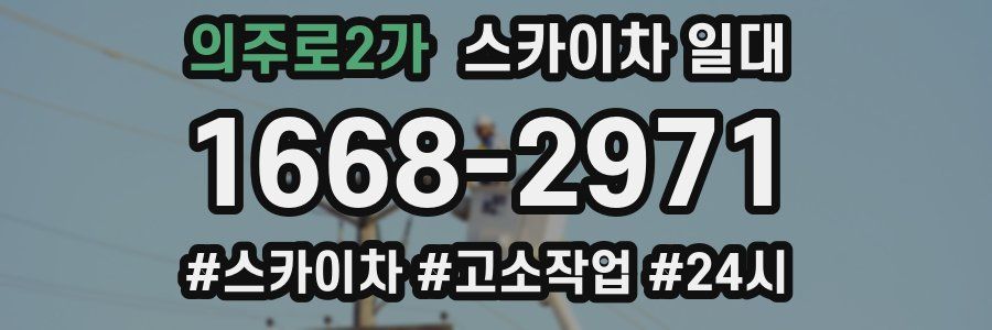 의주로2가 스카이차 일대