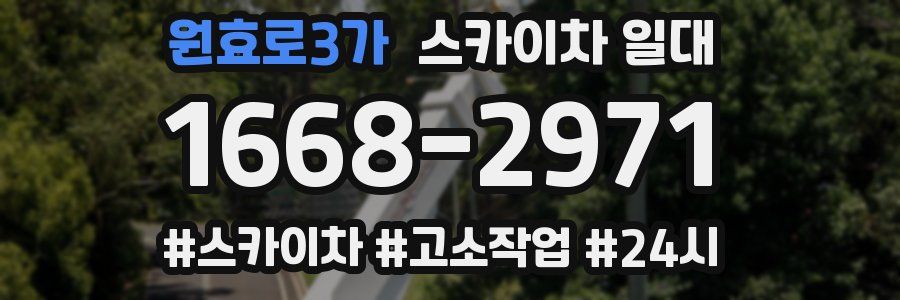 원효로3가 스카이차 일대