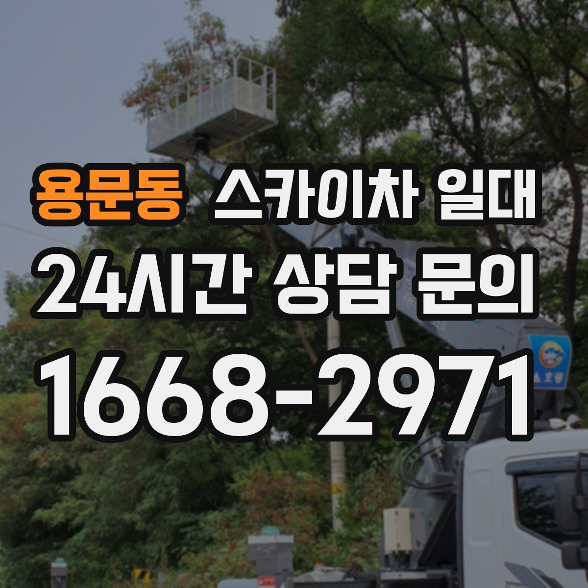 용문동 스카이차 일대