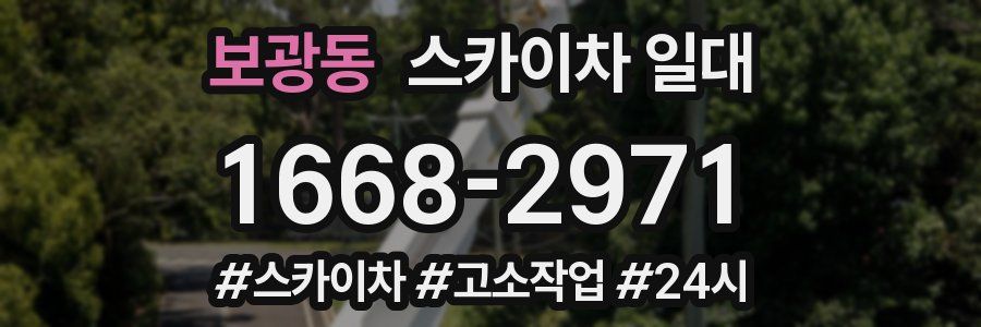 보광동 스카이차 일대