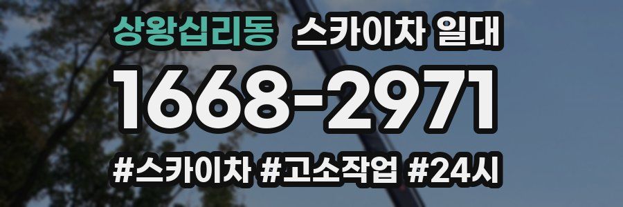 상왕십리동 스카이차 일대