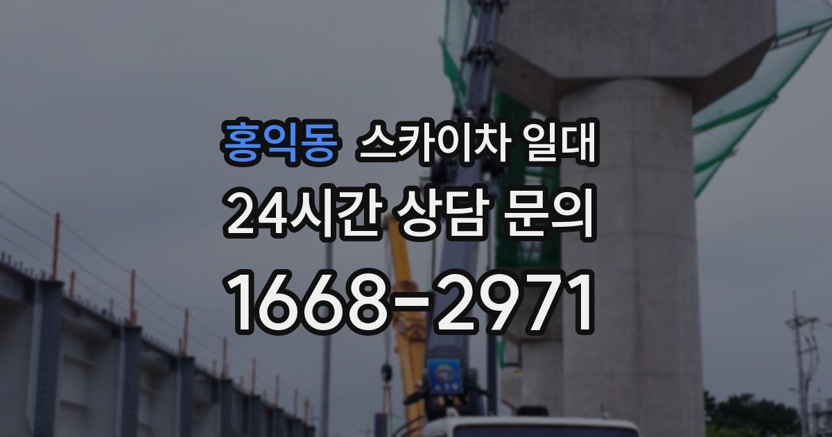 홍익동 스카이차 일대