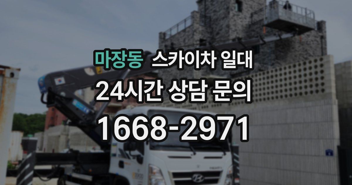 마장동 스카이차 일대